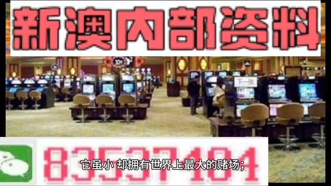 2024年新澳精准资料免费提供网站,权力解答解释落实_粉丝版85.8.13