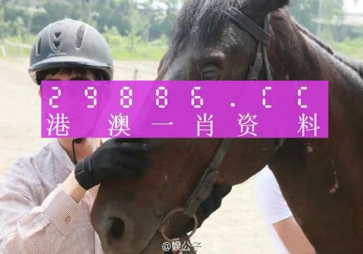 今晚澳门必中一肖一码适,创新解答解释落实_娱乐版68.32.45