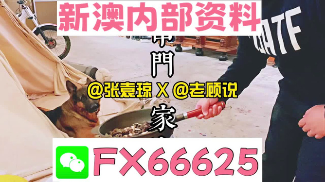 新澳门精准资料大全管家婆料,清晰解答解释落实_透明版96.59.72