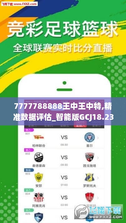 7777788888王中王中王,前景解答解释落实_对抗版14.90.77