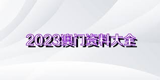 新澳门资料大全正版资料2023,常规解答解释落实_改造版25.49.94