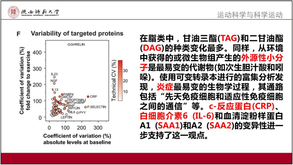 新澳门内部正版资料大全,多元解答解释落实_白银版99.54.14