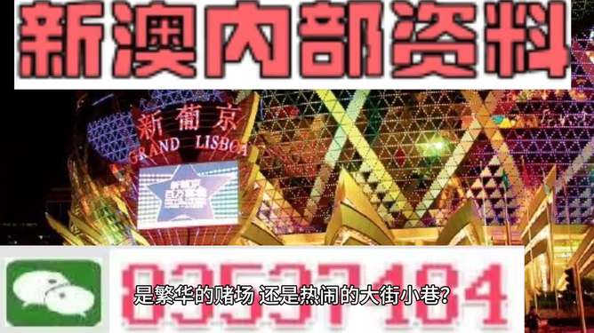 新澳门精准资料大全管家婆料,严实解答解释落实_自选版34.31.80